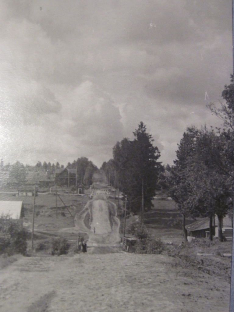 Вид на Льзички со стороны п. Любытино. Фото из архива Иванова Владимира Алексеевича.