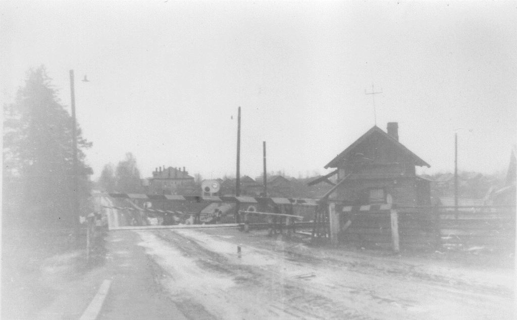 Вид из Льзичек от переезда на Любытино.Фото из архива Смирнова Игоря Леонидовича.